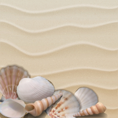 Marine background with seashells on sand. Vector illustrationのイラスト素材
