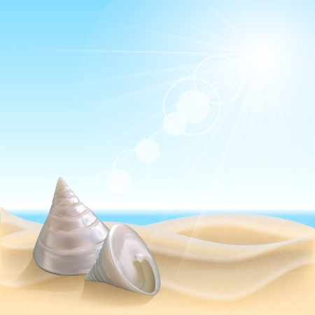 Shell on the beach. Summer holidays vector illustrationのイラスト素材
