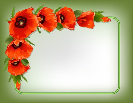 Red poppies floral frame with green border, vector illustrationのイラスト素材