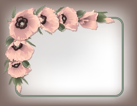 Pink poppies floral frame, vector illustrationのイラスト素材