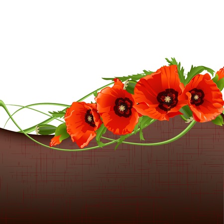 Floral background with red poppies illustrationのイラスト素材