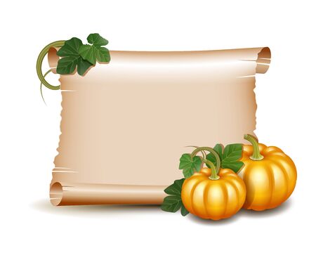 Thanksgiving banner, card with empty paper scroll and pumpkins with leaves. Blank scroll of parchment wallpaper, background. Poster or brochure for Thanksgiving party. Vector illustration.のイラスト素材