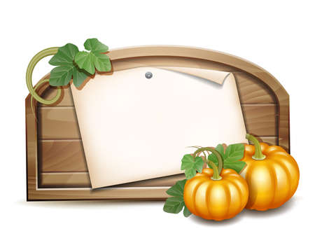 Wooden banner with Orange pumpkins. Vector illustration Autumn Harvest Festivalのイラスト素材