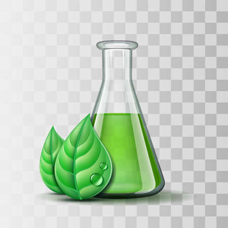 Green nature leaf and flask. Template for environment and laboratory industrial Eco design.のイラスト素材