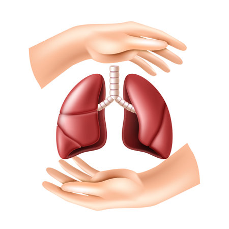 Hands protect the human lungs. Concept of Health care.のイラスト素材