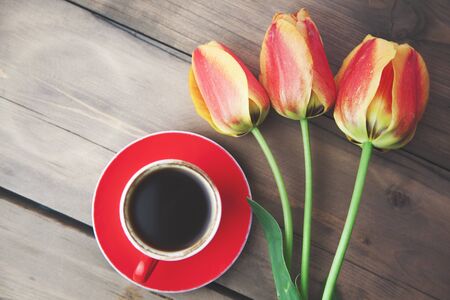 tulips and coffee on wooden tableの写真素材