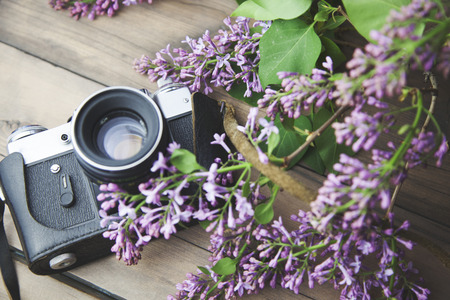 lilac and camera on wooden tableの写真素材