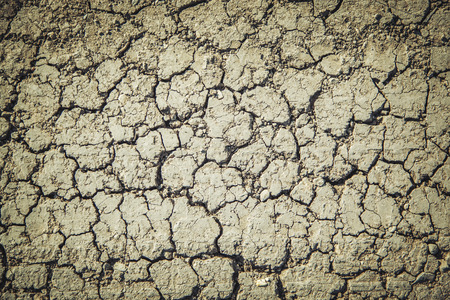 Steppe cracked clay earth in the summer