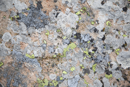 Abstract texture of the stone backgroundの写真素材