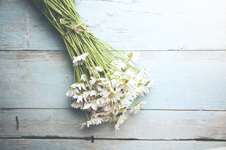 chamomile,bouquet of flowers on the blue wooden backgroundの写真素材
