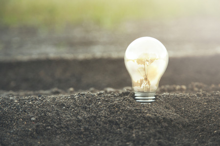 Light bulb glowing in soil as idea or energy conceptの写真素材