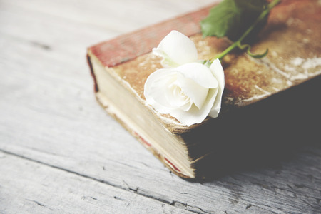 rose on book on wooden tableの写真素材
