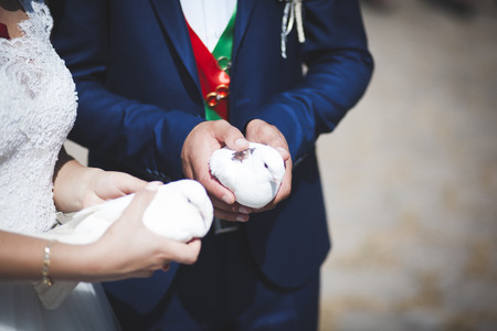Young attractive wedding couple with pigeons pairの写真素材