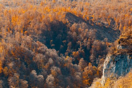 mountain in autumn timeの写真素材