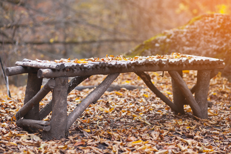 
Autumn scene and bench in the forestの写真素材