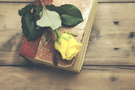 Decoration with yellow rose laying upon vintage bookの写真素材
