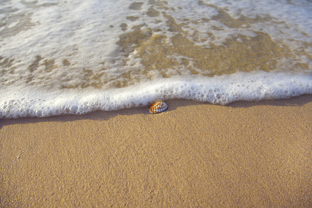 Soft Wave Of Blue Ocean On Sandy Beachの写真素材