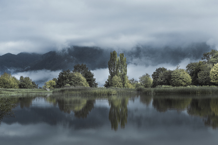 Forest  lake under dark the sky backgroundの写真素材