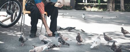 man with pigeons in street
