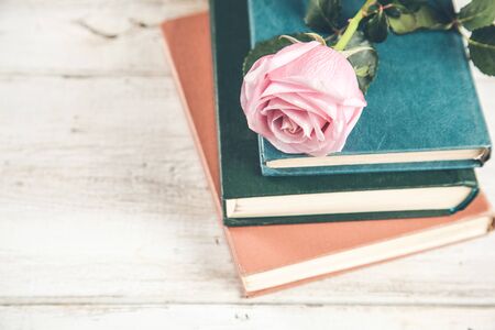 pink roses on blue  book on deskの写真素材