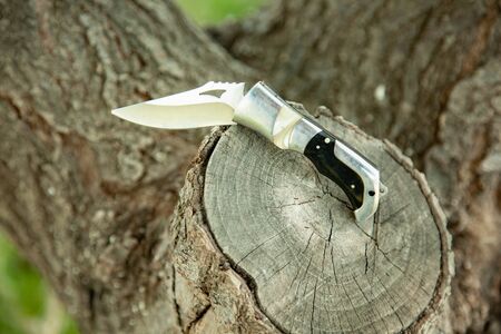 pocket knife on wood in garden