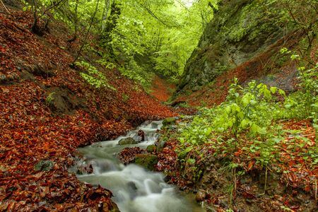 river with beautiful and color forest backgroundの写真素材