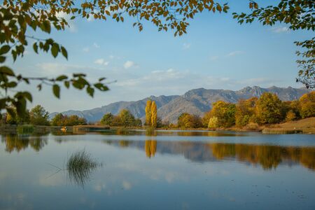 mountain with forets with lake under skyの写真素材