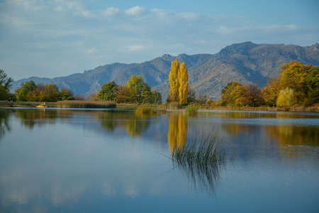 mountain with forets with lake under skyの写真素材