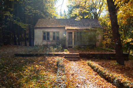 house in the colorful  autumn forest backgroundの写真素材