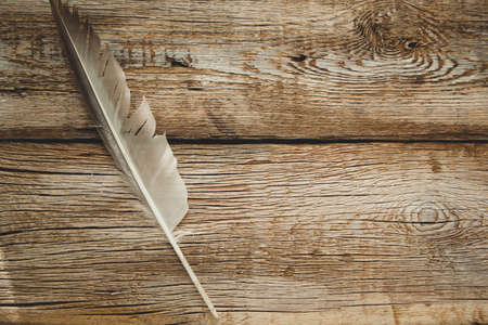 feather on the wooden table backgroundの写真素材
