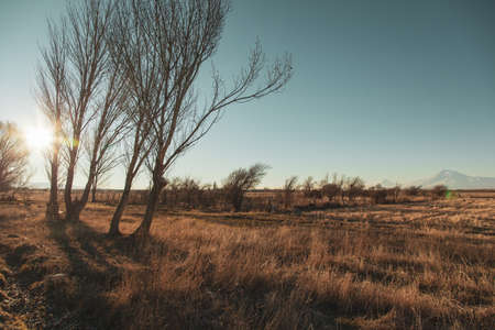 trees and Ararat mountain under blue sky backgroundの写真素材