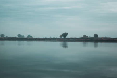 lake with trees at dark day backgroundの写真素材