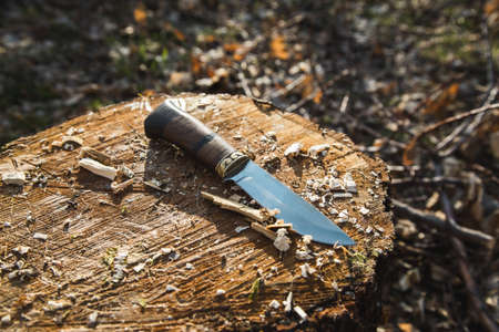 knife on wood in the garden backgroundの写真素材
