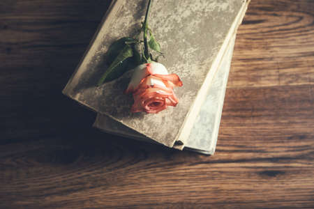 rose on the books on the wooden tableの写真素材