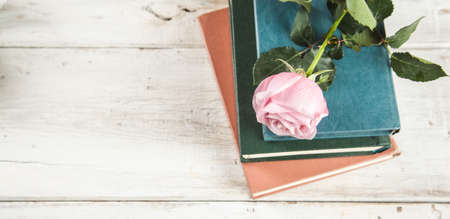 roses on the books on the tableの写真素材