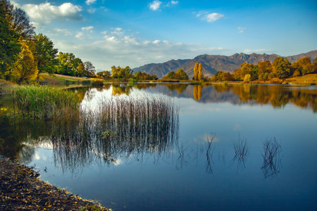 lake and beautiful color forest under skyの写真素材