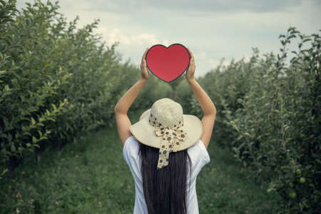woman hand red heart in the fieldの写真素材