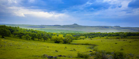 green grass and trees with mountain under sky