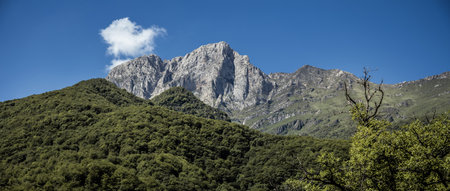 mountains covered with green trees and grassの写真素材