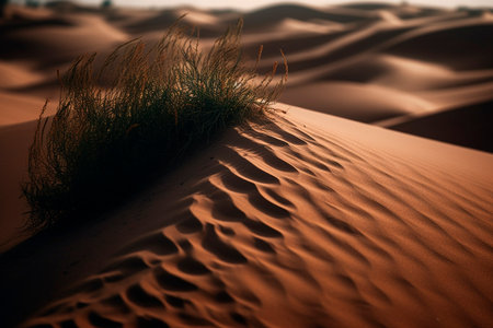 Sandy desert. Generative AI illustratorの素材