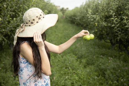 woman holding green apples in gardenの写真素材
