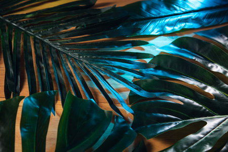 Green leaves on wooden planks background.の写真素材
