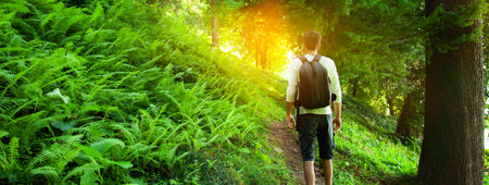 Man in black and backpack walks into the forestの写真素材