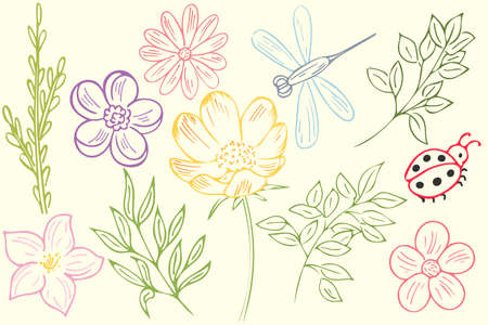 Set of flowers and branches, ladybug dragonfly. Vector, spring elements. Freehand colored sketch.のイラスト素材