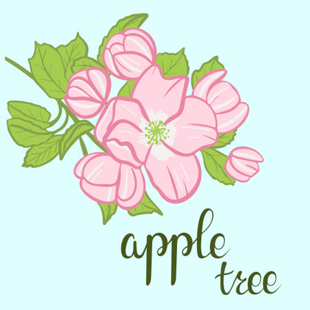 Blooming apple tree branch, sketch. Color illustration, freehand drawing. Apple tree flowers with leaves on a branch. Branch with flowers and an inscription. Vector.のイラスト素材