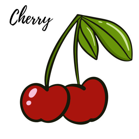 Cherries with leaves. Two burgundy ripe berries on a branch with leaves. Vector. Garden berries close-up.のイラスト素材
