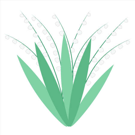 Lilies of the valley. White wild forest flowers. Cute little bells. Valley of Flowers. Vector, bouquet.のイラスト素材