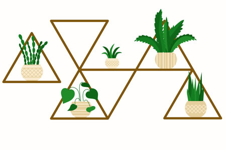 Unusual shelf with indoor flowers in pots. Rack with plants. Various indoor green plants on the shelves. Vector, design element.のイラスト素材