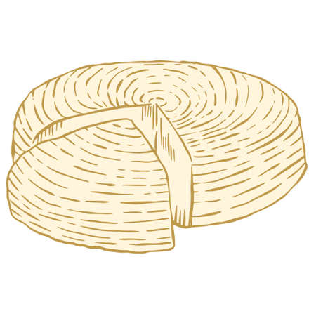 Head of Adyghe cheese. Vector. Whole soft cheese. A cut piece from a whole head of cheese. Hand drawing. Milk products.のイラスト素材