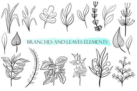 Natural botanical elements, vector. Set of hand drawn branches and leaves. Elements with black outline. Floral and deciduous silhouettes for design.のイラスト素材